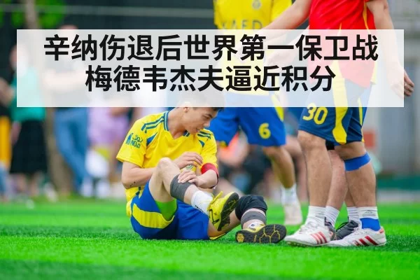 辛纳伤退后世界第一保卫战 梅德韦杰夫逼近积分