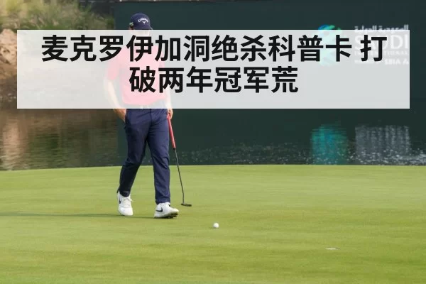 麦克罗伊加洞绝杀科普卡 打破两年冠军荒