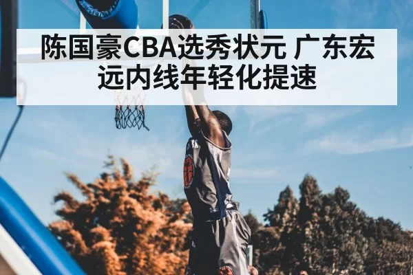 陈国豪CBA选秀状元 广东宏远内线年轻化提速